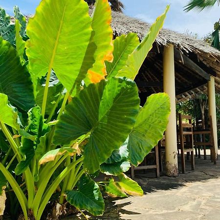 Ltorec Nyali Beach المظهر الخارجي الصورة