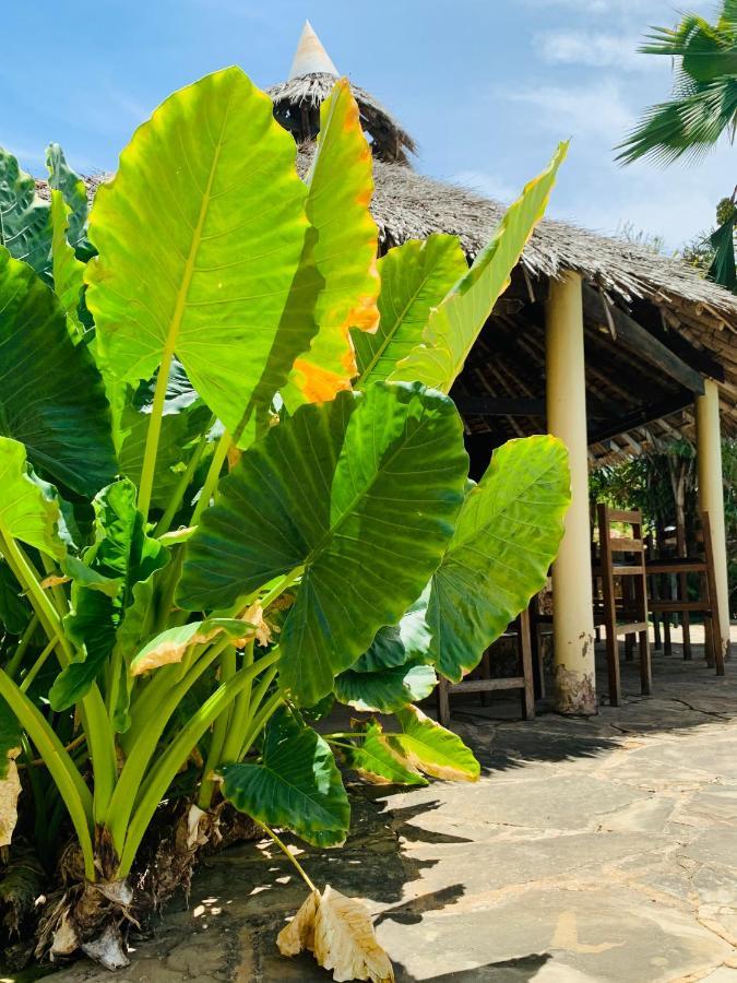 Ltorec Nyali Beach المظهر الخارجي الصورة